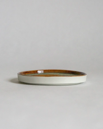 MINI Plate