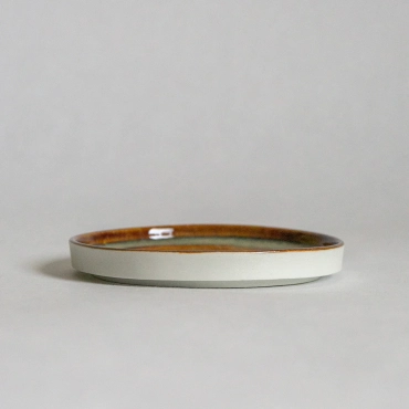 MINI Plate