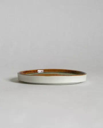 MINI Plate